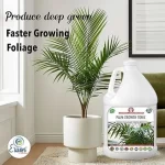 Er_Palm_Growth_Tonic