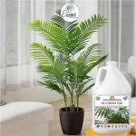 Er_Palm_Growth_Tonic
