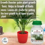 Er_Palm_Growth_Tonic
