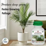 Er_Palm_Growth_Tonic
