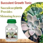 Er_Succlent_Growth_Tonic