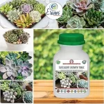Er_Succlent_Growth_Tonic