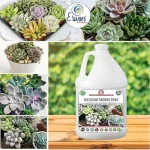 Er_Succlent_Growth_Tonic