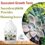 Er_Succlent_Growth_Tonic