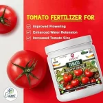 Er_Tomato_Growth_Miracle