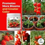 Er_Tomato_Growth_Miracle