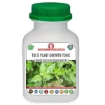 Er_Tulsi_Plant_Growth