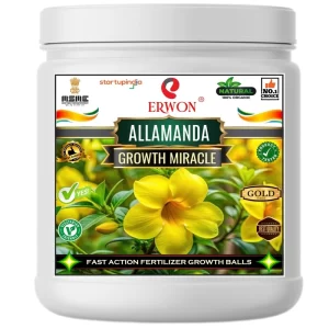 Er_allamanda_Growth_Miracle-1