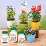 Er_plant_flower