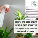 Er_plant_flower