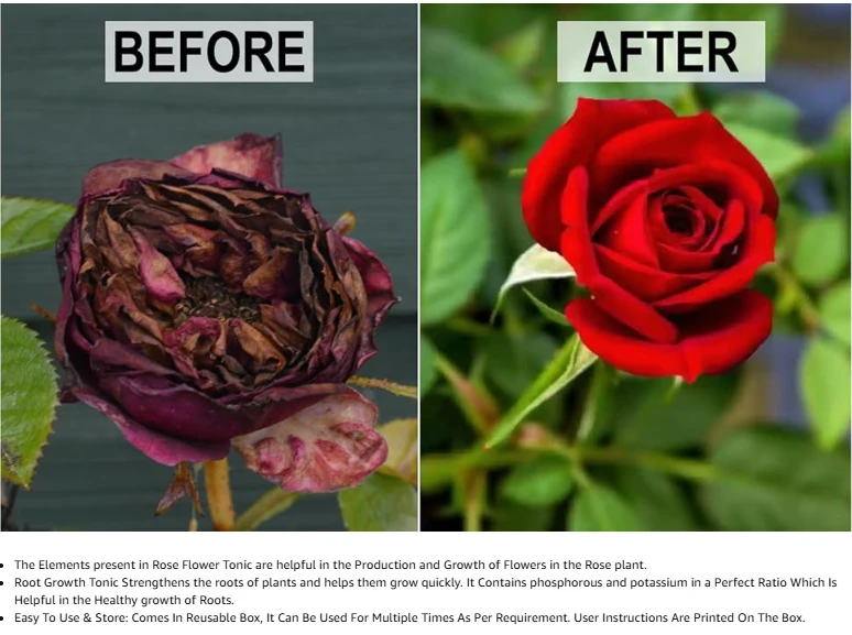 Er_rose