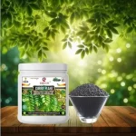 curry_plant_growth_miracle_fertilizer