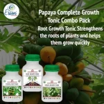 Er_Papaya