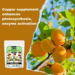 RG_Chelated_Copper