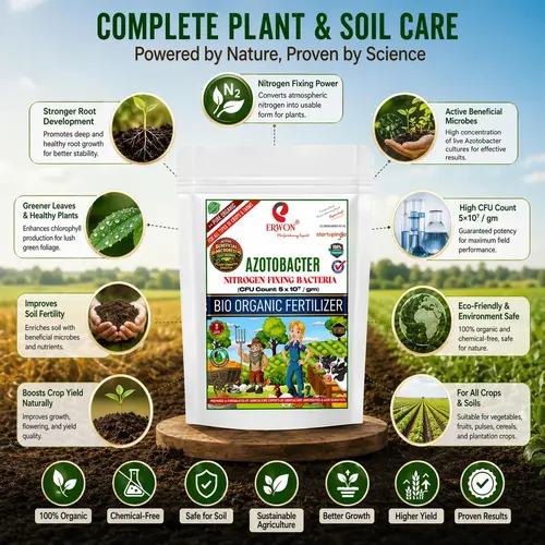 Erwon_Azotobacter_Bio_Fertilizer –_5×10⁷_CFUgm (5) Erwon® Azotobacter Bio Fertilizer – 5×10⁷ CFU gm