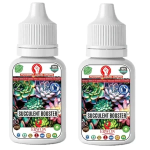 Erwon Succulent Booster Drops