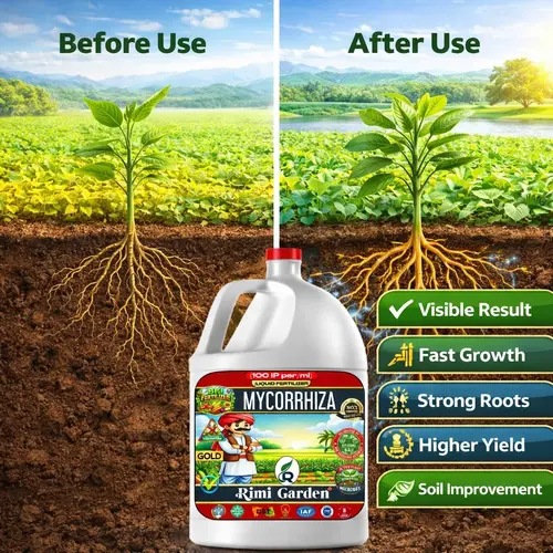 Rimi_Garden_Mycorrhiza_100 IPml (4)
