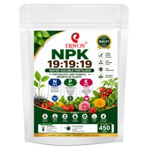 NPK 19 19 19 450 Gm